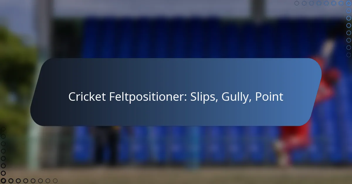 Cricket Feltpositioner: Slips, Gully, Point