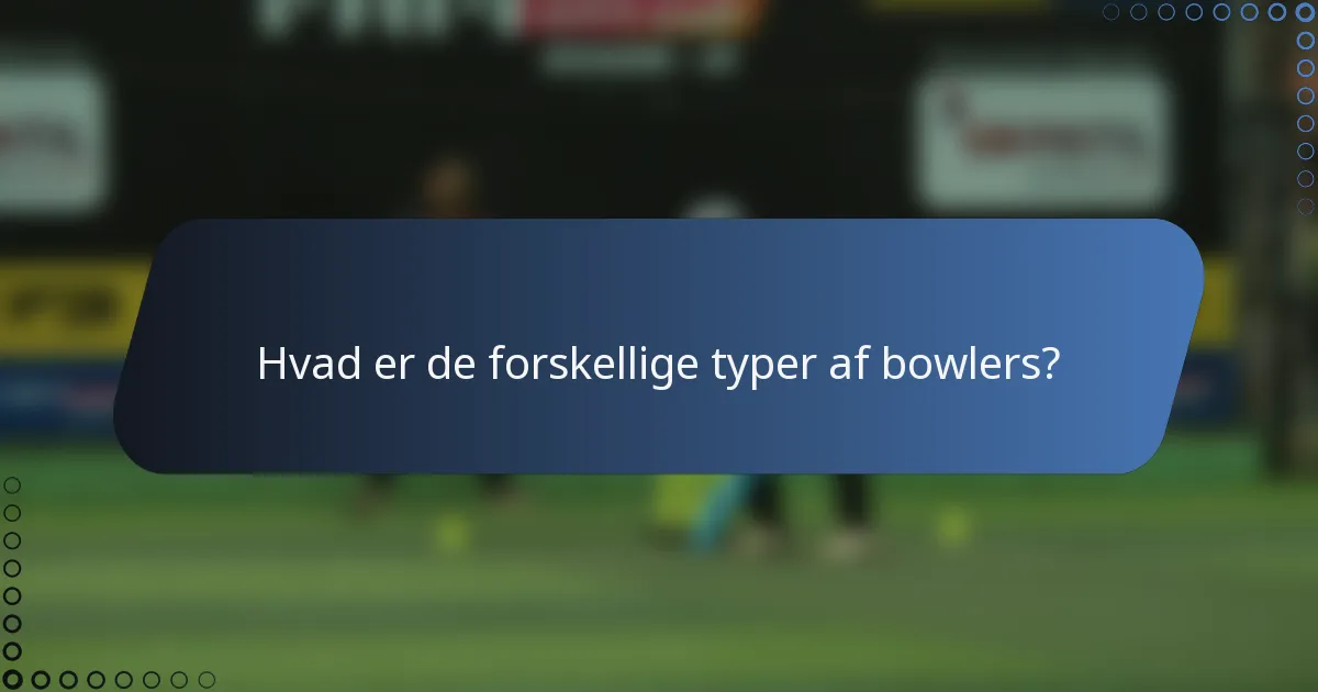 Hvad er de forskellige typer af bowlers?