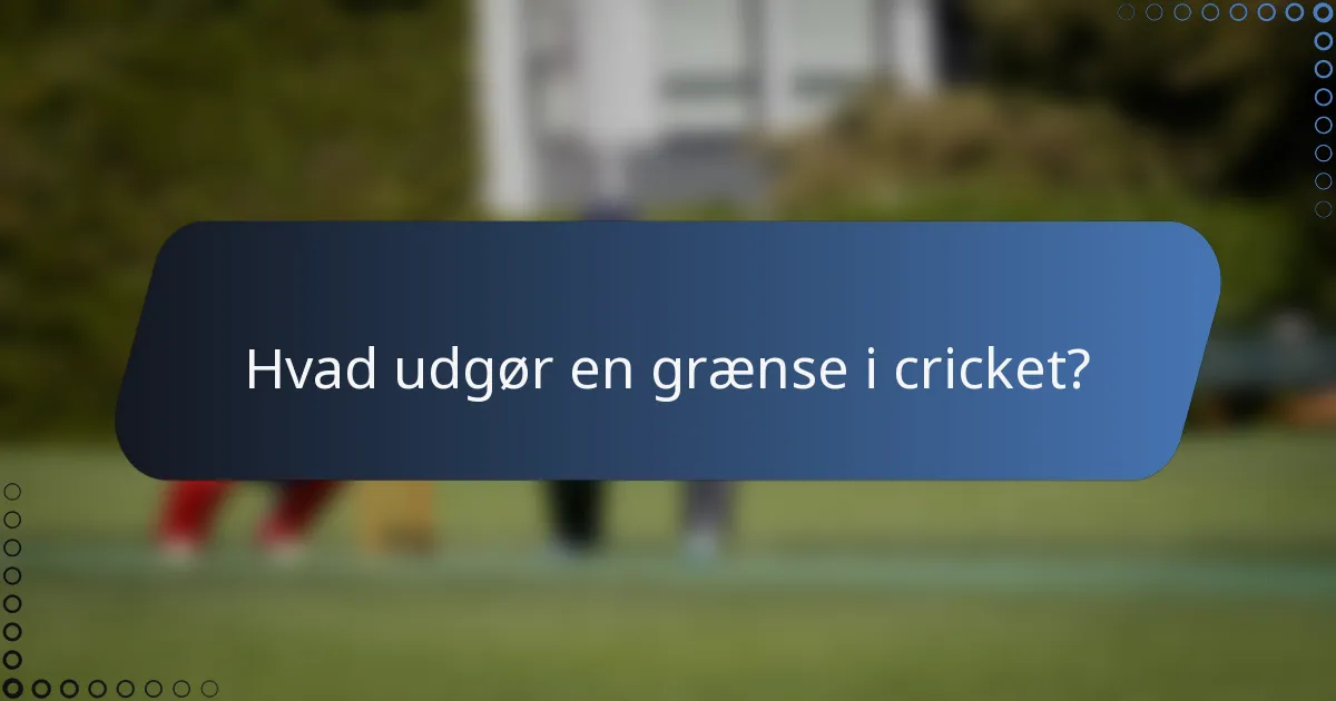 Hvad udgør en grænse i cricket?