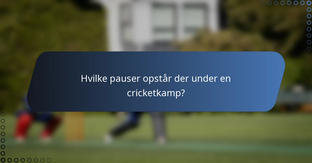 Hvilke pauser opstår der under en cricketkamp?