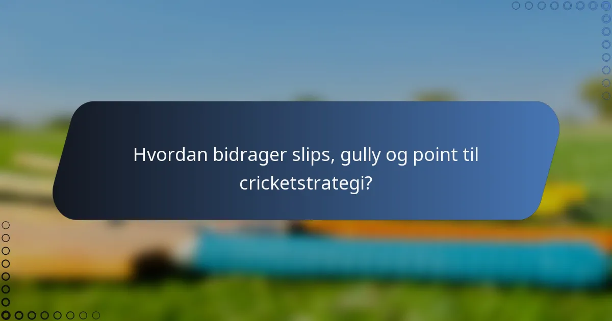 Hvordan bidrager slips, gully og point til cricketstrategi?